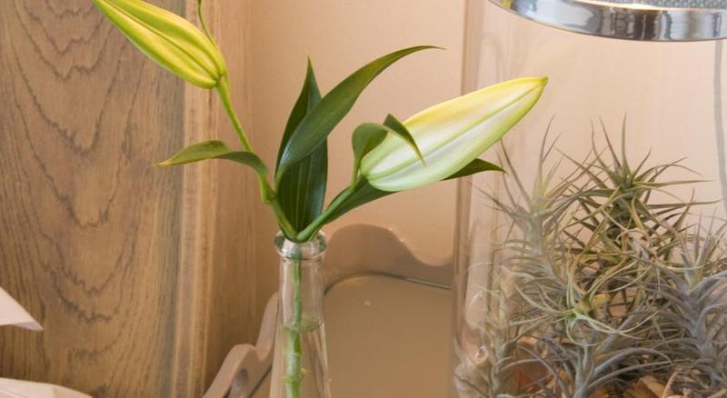 Plettenberg Park Hotel & Spa Plettenberg Bay Ngoại thất bức ảnh